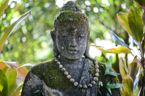 Πέτρα Βούδα στη ζούγκλα — Φωτογραφία Αρχείου