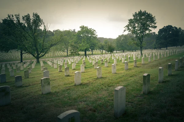 Arlington National Cemetary — Stock Photo, Image