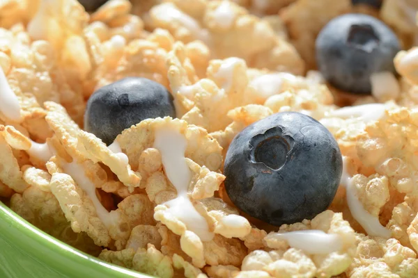 Bowl of Cereal with Blueberries Close Up — Stock Photo, Image