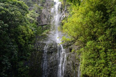 şelale hana yol boyunca maui Hawaii