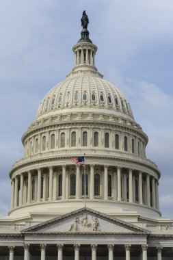 Capitol hill alıcı onarım