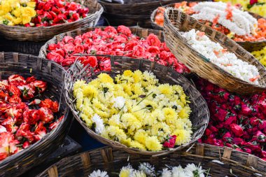 Anneler ve gül Hindistan Satılık