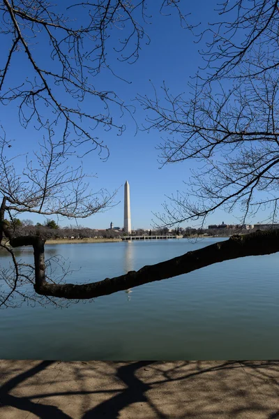 Washington památník — Stock fotografie