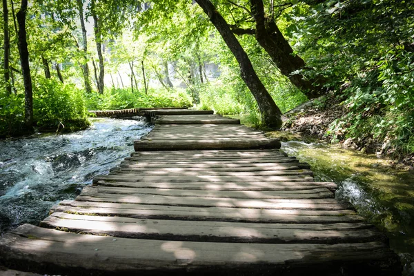 Sendero de senderismo en un sendero de madera — Foto de Stock