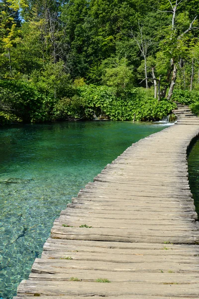 Houten pad op een wandelpad — Stockfoto