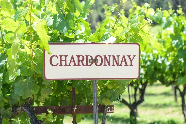 Chardonnay üzüm işareti — Stok fotoğraf