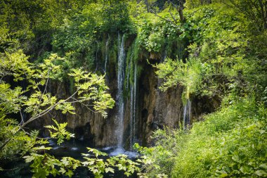 Hırvatistan 'daki Plitvice Ulusal Parkı' nda Şelale