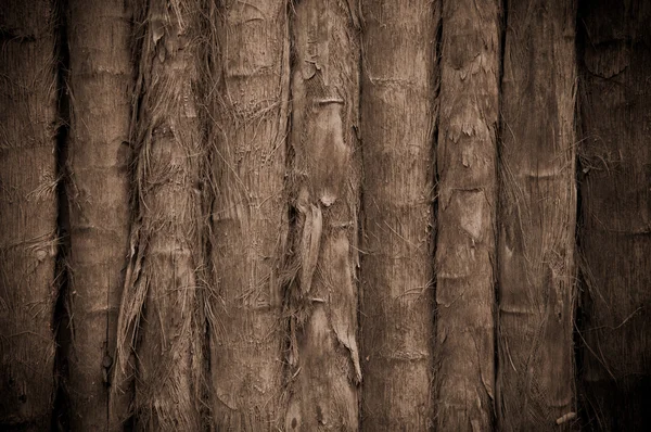 Fundo tropical de bambu — Fotografia de Stock