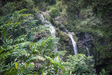 Maui Hawaii 'de Şelale