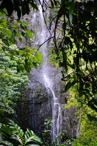 Waterfall in Maui Hawaii along the Road to Hana — Stock Photo, Image