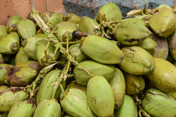 Råa gröna kokosnötter — Stockfoto