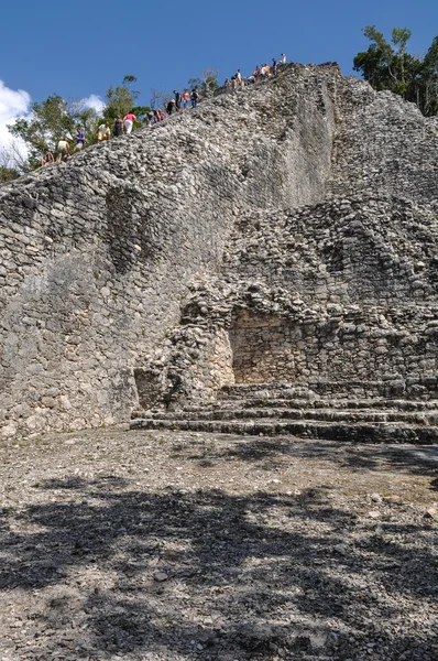 Coba Ruinas Mayas —  Fotos de Stock