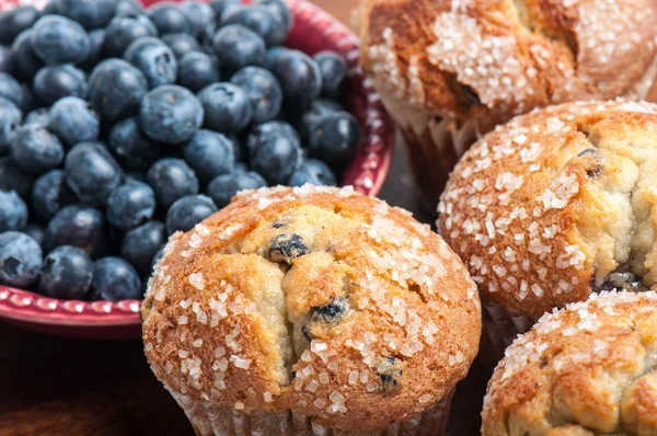 Borůvkové muffiny — Stock fotografie