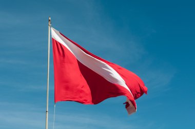 tüplü dalış bayrağı