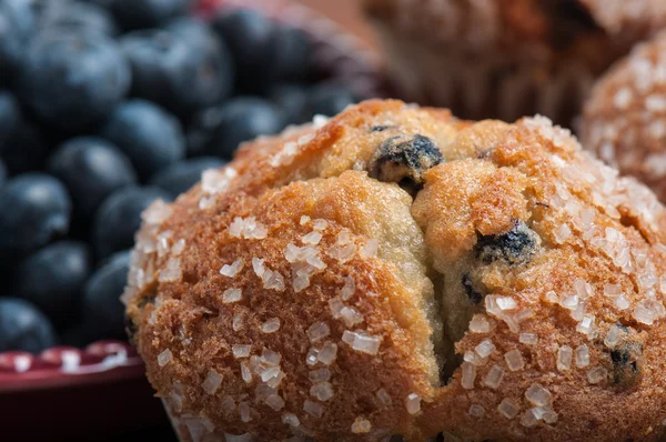 Borůvkový muffin — Stock fotografie