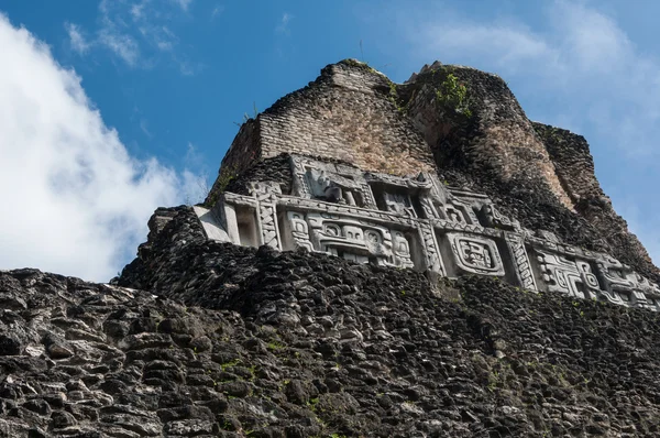 玛雅伯利兹玛雅神殿关闭的楣 — 图库照片