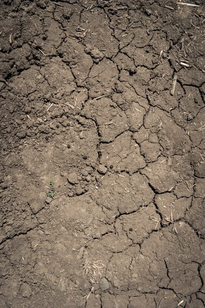 Fondo de tierra agrietado —  Fotos de Stock