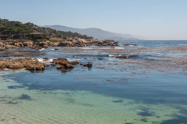 Καλιφόρνια ακτή στο monterey — Φωτογραφία Αρχείου