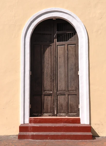 Old Brown Door — Stock Photo, Image