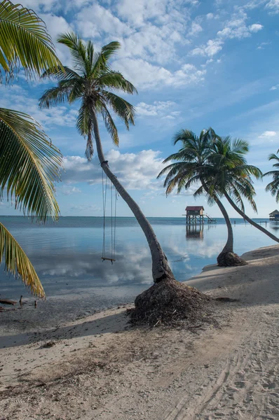 Palmera con columpio sobre el océano — Foto de Stock