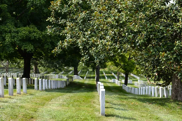 Arlington Ulusal Mezarlığı — Stok fotoğraf