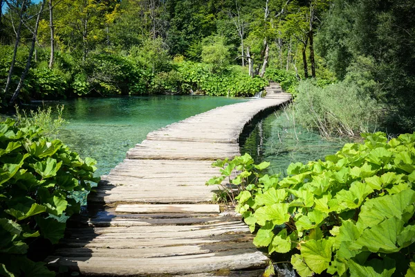 Drewniany szlak w Parku Narodowym Jezior Plitwickich — Zdjęcie stockowe