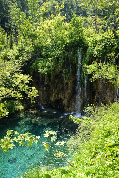 Vízesés a Plitvicei Nemzeti Parkban Horvátországban — Stock Fotó