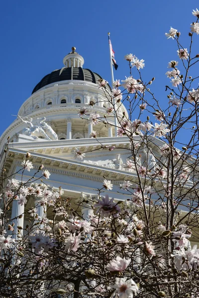 Bahar çiçekleri, california Eyaleti Meclis Binası — Stok fotoğraf