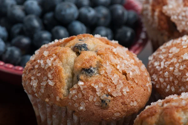 Muffins de mirtilo — Fotografia de Stock