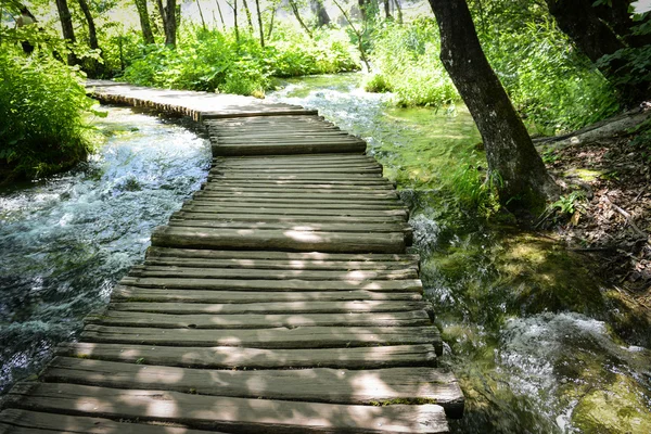 Sendero de senderismo en un sendero de madera — Foto de Stock