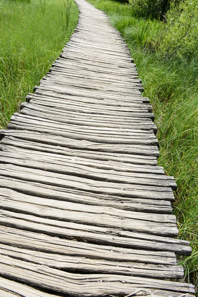 Ahşap tahta hiking trail — Stok fotoğraf