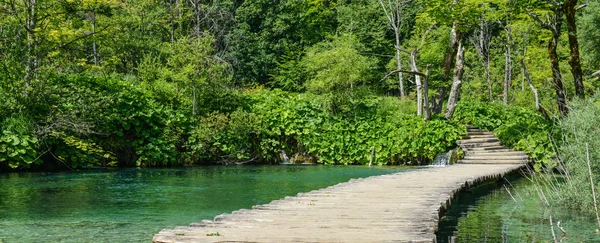 プリトヴィツェ国立公園の池にかかる木製の橋 — ストック写真