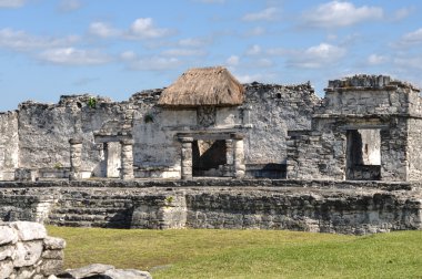 Tulum Maya harabeleri Meksika 'da