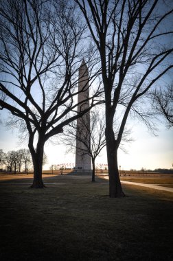 Washington Anıtı kış