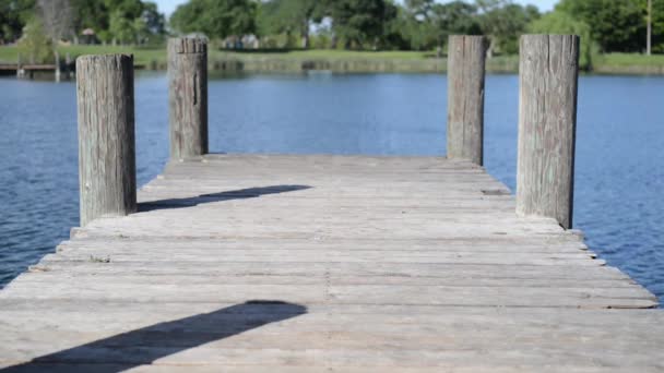 Cubierta de madera vieja con lago — Vídeos de Stock