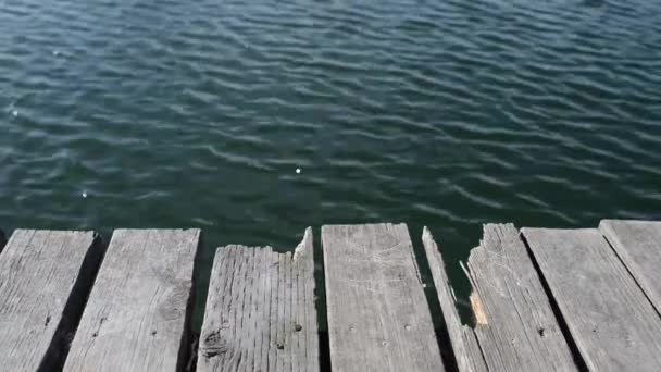 Vieux pont en bois avec lac — Video