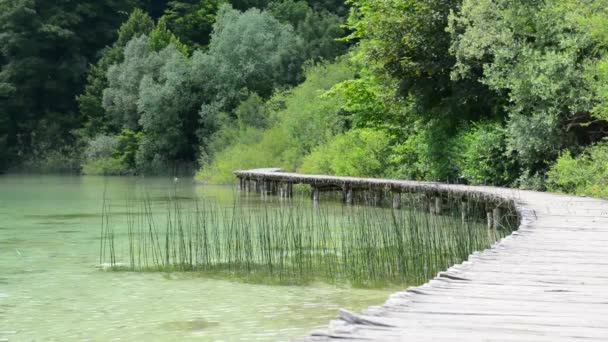 Holzbrücke über einen Teich — Stockvideo