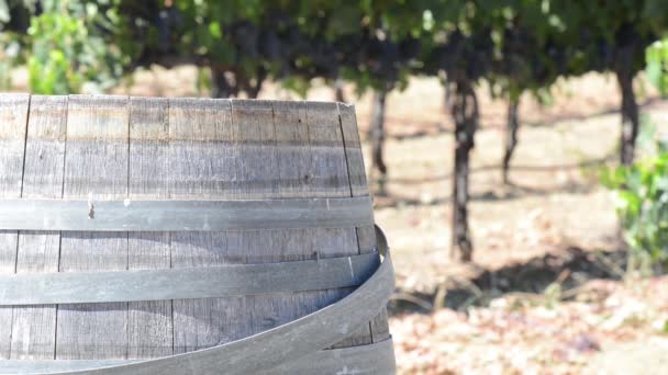 Wine Barrel and Vineyard — Stock Video