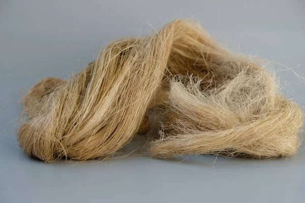 Fibers of natural uncolored flax or hemp, tow, close-up. Growing demand for natural fibers.