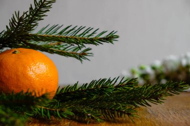 Mandalina ve ladin dalı. Eski tarz bir Noel kartı. Boşluğu kopyala.