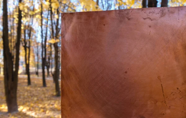 Empty Copper Plate Autumn Park Background Nature Protection Concept Copy — Stock Photo, Image