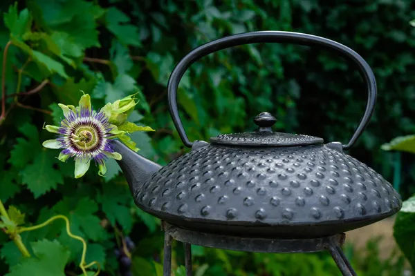 Bule Asiático Tradicional Com Flor Passiflora Bico Fundo Jardim Verde — Fotografia de Stock