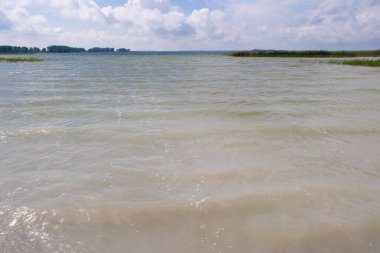 Gölde dalgalar. Çamurlu su. Kumlu alt.