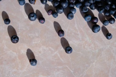 Mutfak masasında yaban mersini var. Sert gölgeli parlak güneş ışığı.