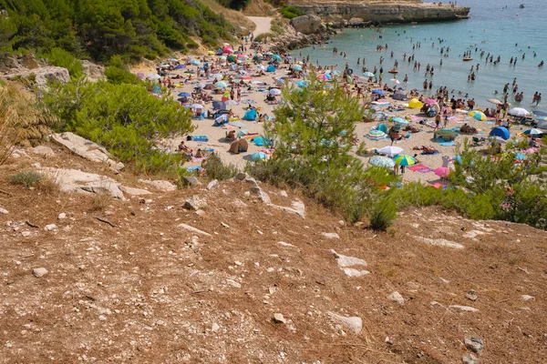 Crowded Sea Beach Provence Coronavirus Epidemic Ecological Mediterranean Beach Pine — Stockfoto