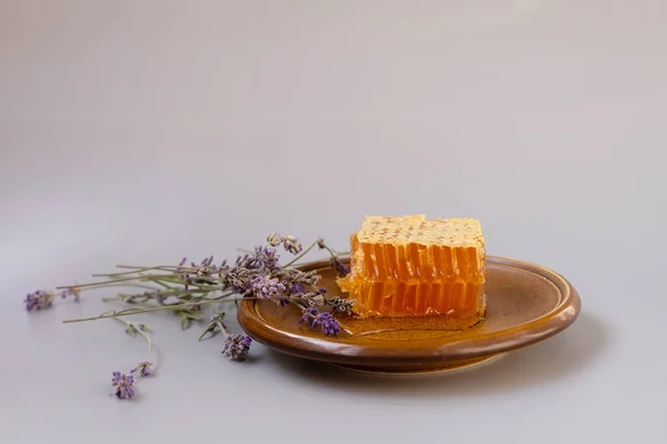 Lavender Honey Piece Honeycomb Plate Honey Flows Honeycombs Copy Space — стоковое фото