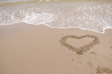 Kum kalbi köpüklü deniz altyapısı. Boşluğu kopyala.