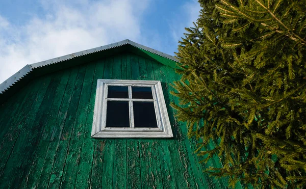 Fenster Dachgeschoss Eines Alten Gewächshauses Aus Holz Grüne Fichte Echt — Stockfoto