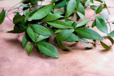 Paskalya kartı, üzerinde menekşe yaprakları olan bakır bir yüzey. Boşluğu kopyala.