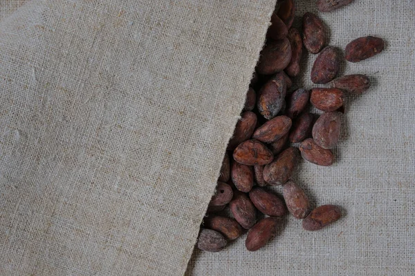 Haricots Cacao Sur Tissu Chanvre Naturel Stockage Des Fèves Cacao — Photo